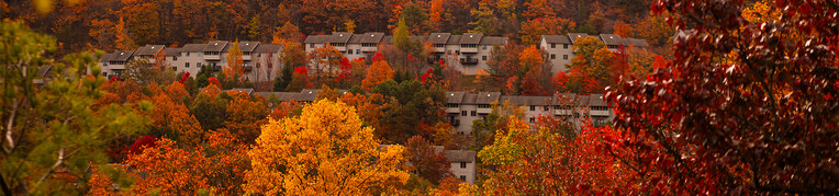 Summit condos at Massanutten Resort