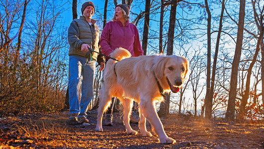 A couple hiking with their dog at Massanutten Resort