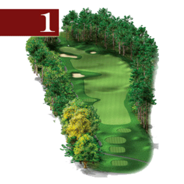 woodstone hole 1