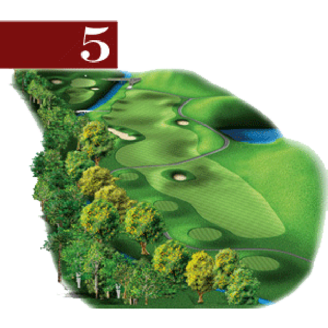 woodstone hole 5