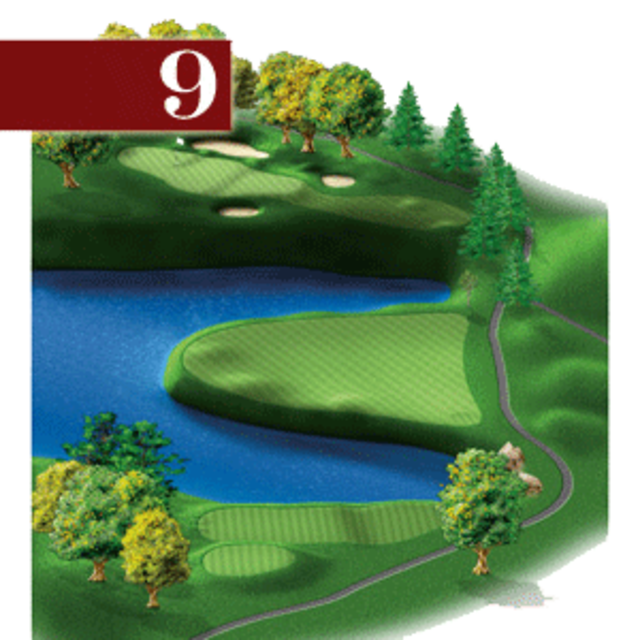 woodstone hole 9