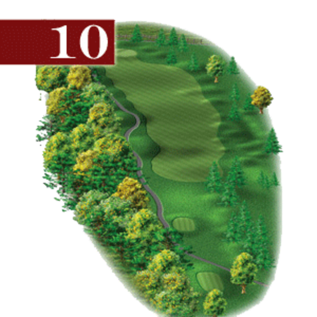 woodstone hole 10