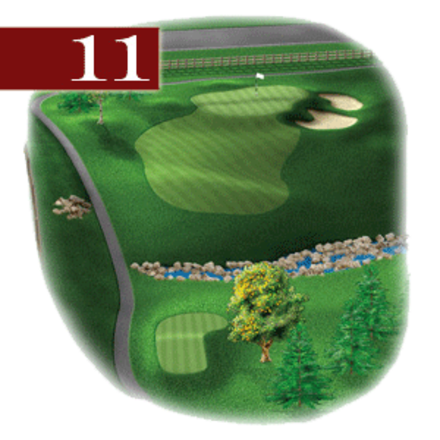 woodstone hole 11