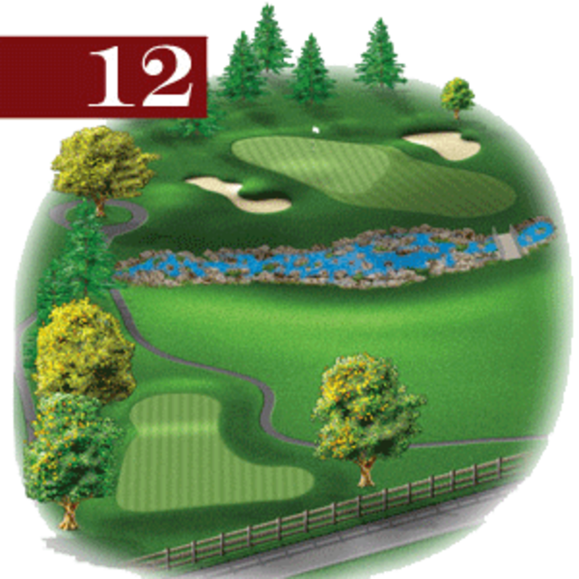 woodstone hole 12