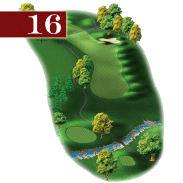 woodstone hole 16